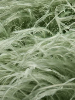 CHANDA FEATHERED VEST