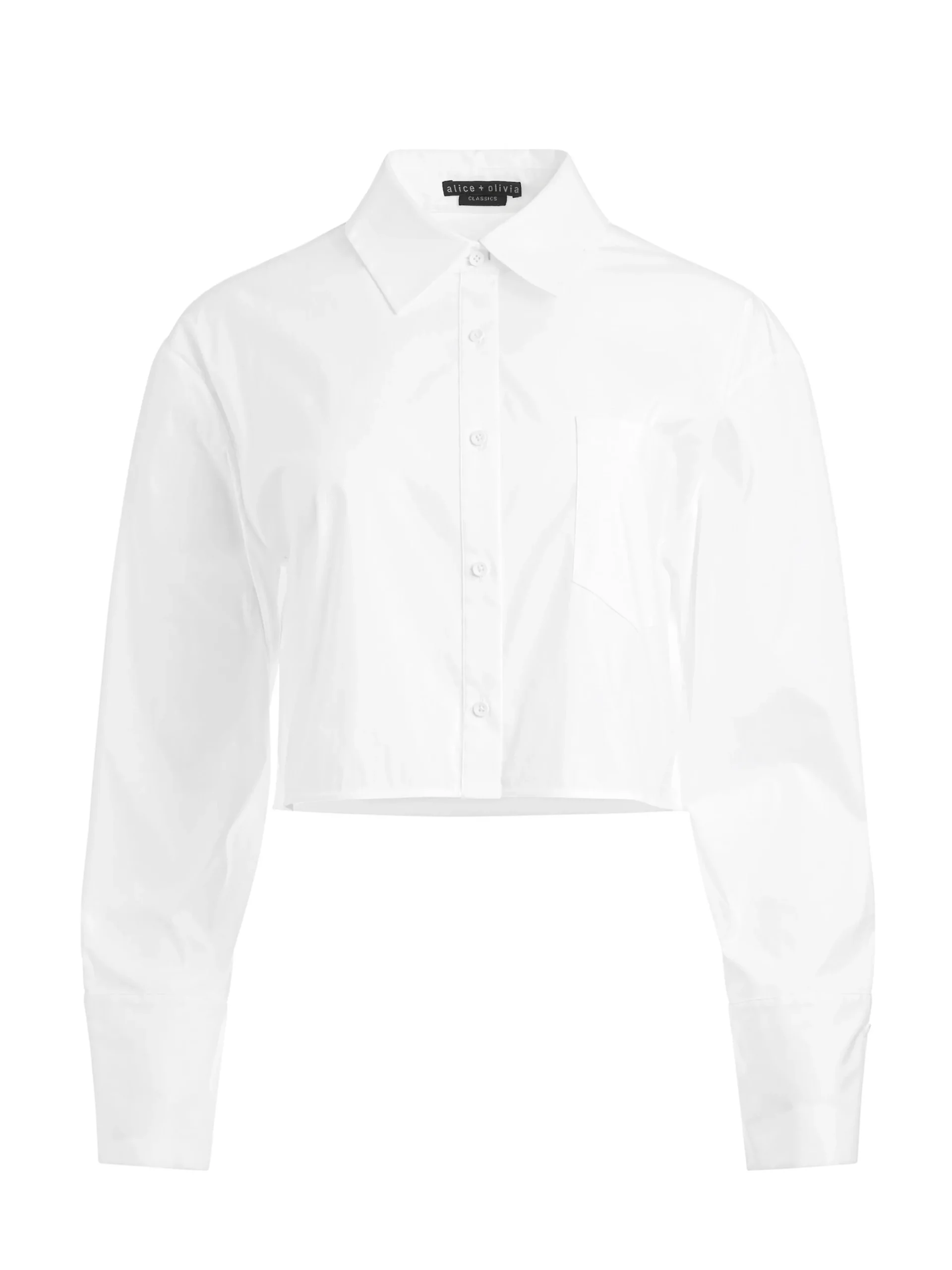 FINELY CROPPED BUTTON DOWN